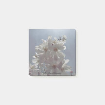 Post-its de fleurs de cerisiers