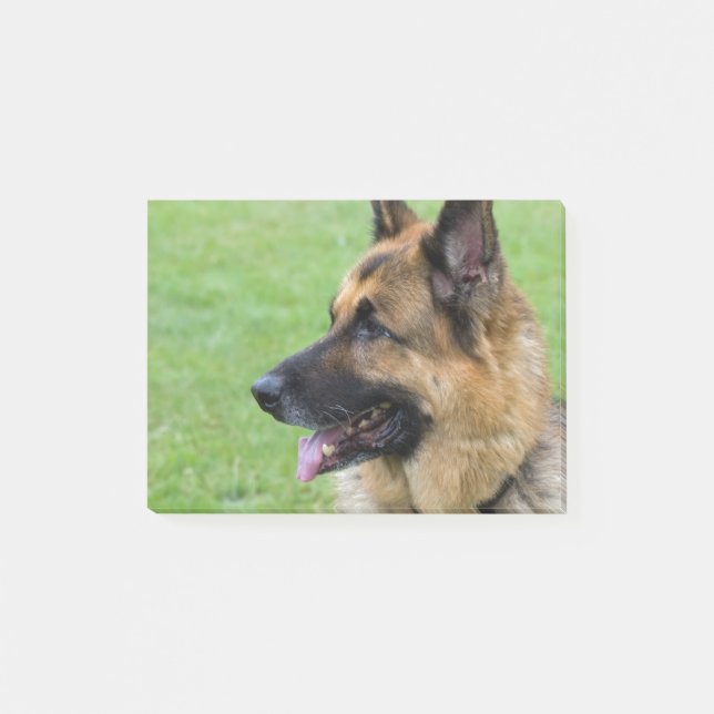 Post-it® Profil de berger allemand (Devant)