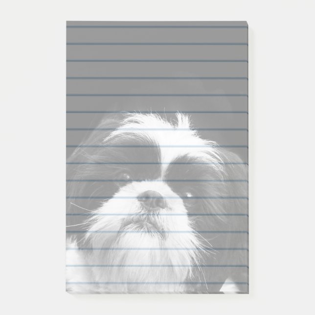 Post-it® Protection des notes de post-it de chien de Shih (Devant)
