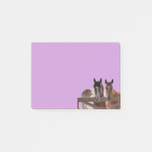 Publier des notes sur les chevaux