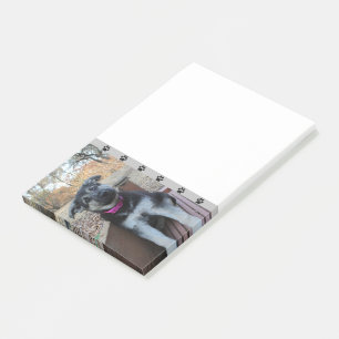 Post-it® Puppy attend sur les Stairs Post-it Notes