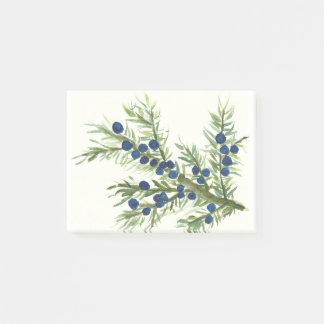 Post-it® Rameau de genévrier avec baies bleues