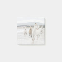 Randonnées à cheval sauvage sur la plage Notes pos