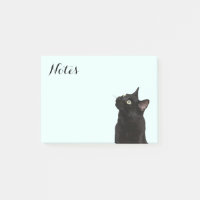 Ranger le chat noir