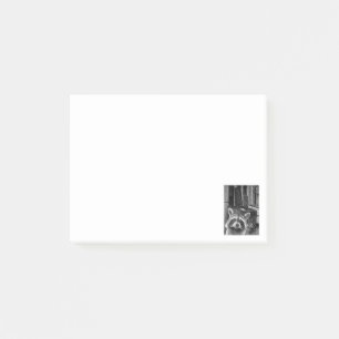 Post-it® Raton laveur drôle selfie Raton laveur Raton laveu