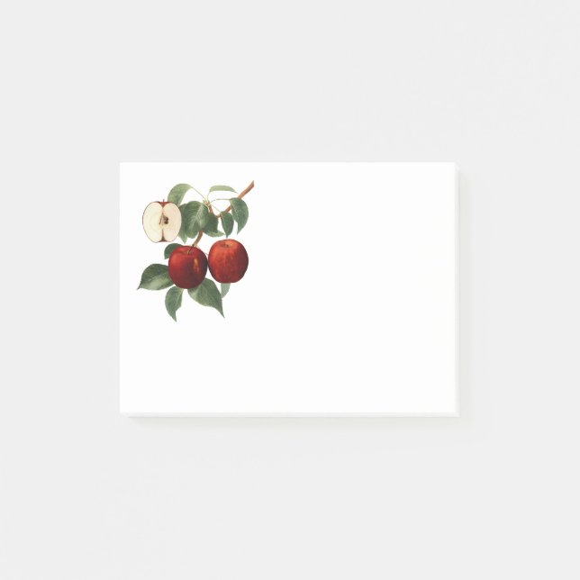 Post-it® Red Apples Botanical Teacher Name 4x3 (Devant)