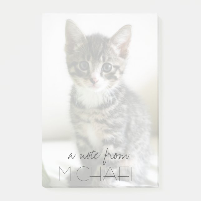 Post-it® Regard fixe de chaton (Devant)