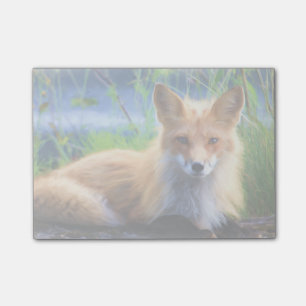 Post-it® Renard rouge se tenant dans l'herbe Image de la fa