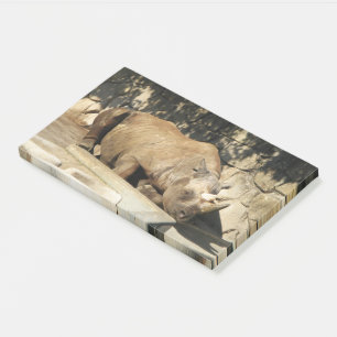 Post-it® Rhino couché