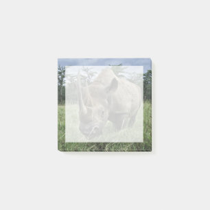 Post-it® Rhinoceros noirs   Kenya