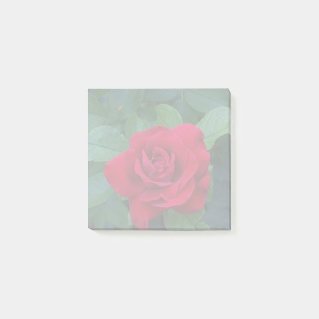 Post-it® Rose rouge proche (Devant)