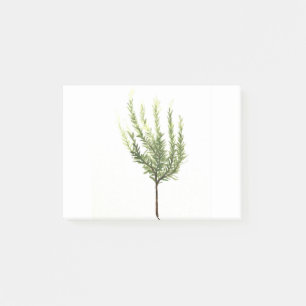 Post-it® Rosemary herbe vintage jardin plante aquarelle