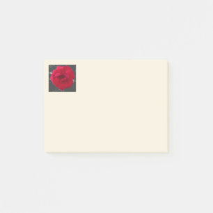 Post-it® RoseRed au charbon
