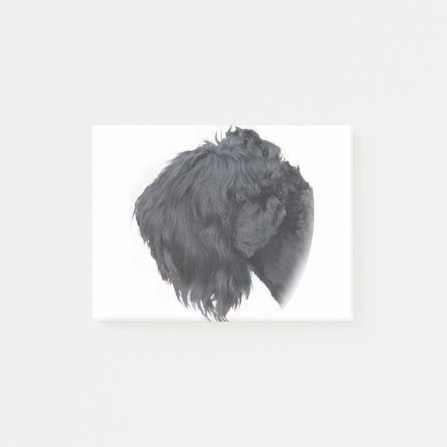 Post-it® Russe noir Terrier (Devant)