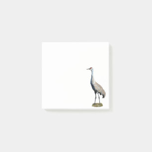 Post-it® Sandhill Crane Photo Post-it Notes