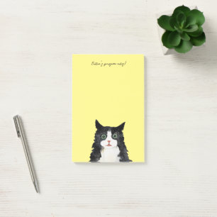 Post-it® Scruffy tuxedo cat