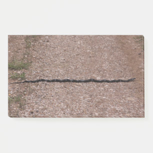 Post-it® Serpent de Rat