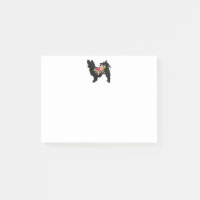 Silky Chihuahua Dog Breed