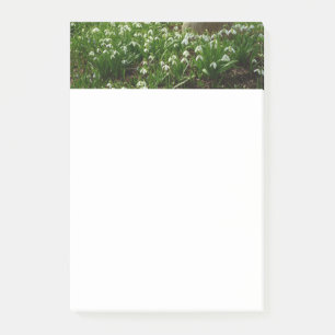 Post-it® Snowdrops
