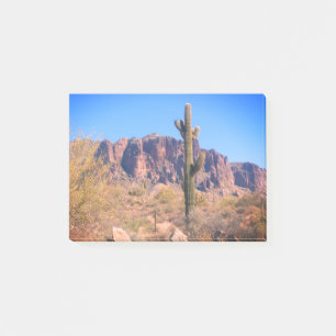 Post-it solitaire de cactus