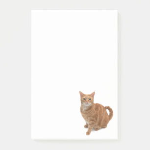Post-it® Stade de Cat orange
