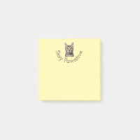 Stay Pawsitive Cat Post Notes