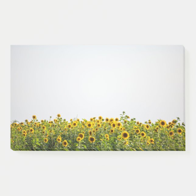 Post-it® Sunflowers in a Field (Devant)