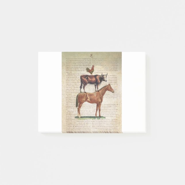 Post-it® Support C1.tif de la ferme NOB12 (Devant)