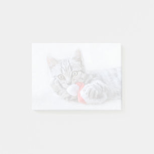 Post-it® Tabby gris mou Chat avec Noël Casquette