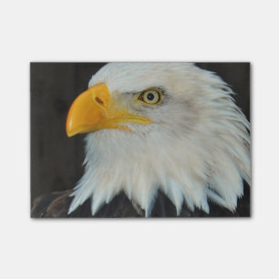 Post-it® Tête d'Eagle