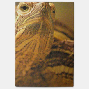 Post-it® Tortue