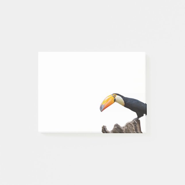 Post-it® Toucan (Devant)