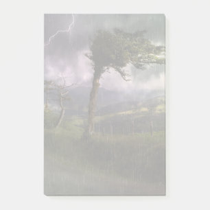 Post-it® Tree Blowing in the Wind During a Thunder Storm