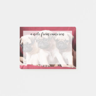 Post-it® Triplés Carlin