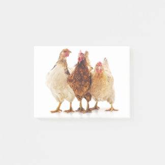 Post-it® Trois poulets