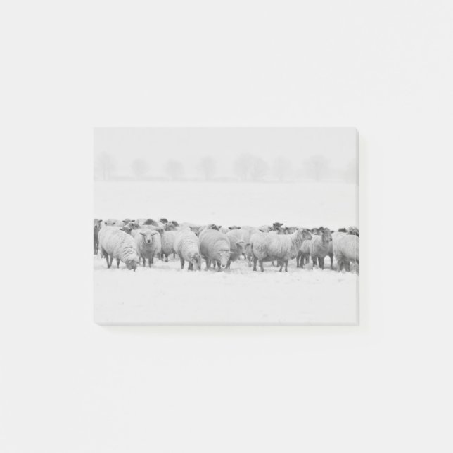 Post-it® Troupeau de moutons d'hiver (Devant)