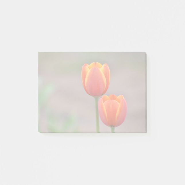 Post-it® Tulip Sticky Notes (Devant)