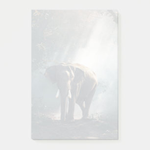 Post-it® Un éléphant asiatique dans un défrichement éclairé