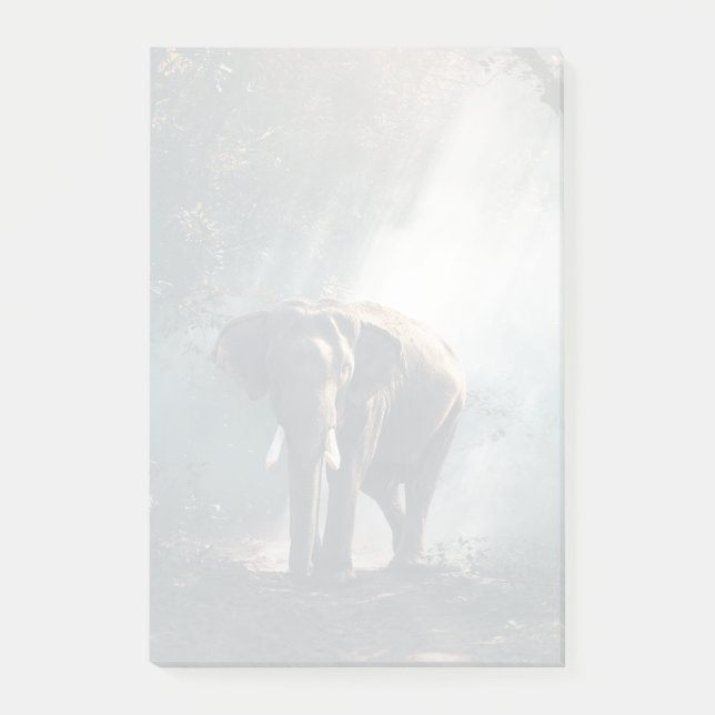 Post-it® Un éléphant asiatique dans un défrichement éclairé (Devant)