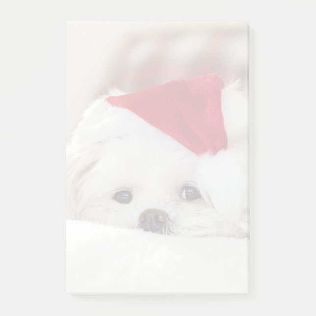 Post-it® Un mignon chien blanc dans un Casquette de Noël ro (Devant)