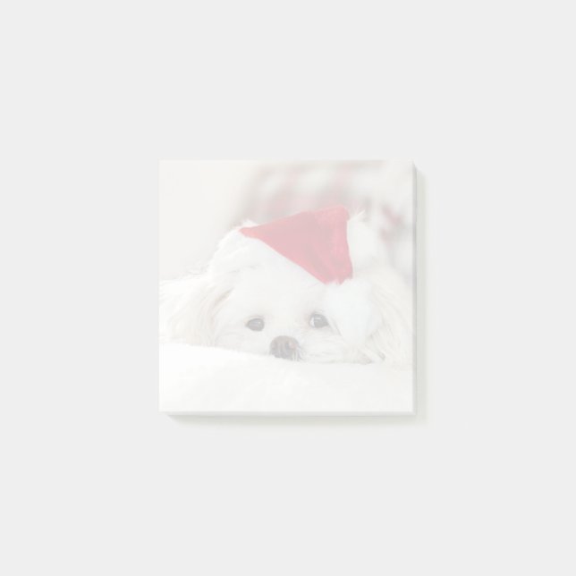 Post-it® Un mignon chien blanc dans un Casquette de Noël ro (Devant)