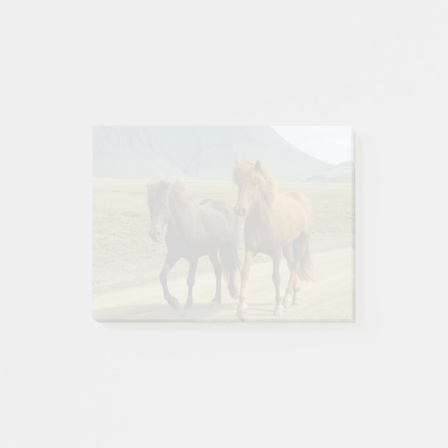 Post-it® Une paire de poneys islandais Brown (Devant)