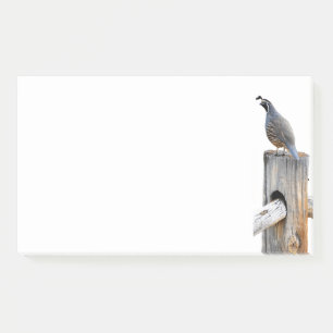 Post-it® Valley Quail Photo 10x6 Notes Papeterie