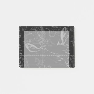 Post-it® Vintage Pisces Constellation Hevelius Engrèvement