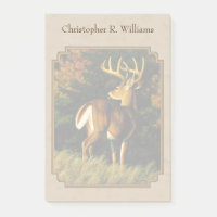 Whitetail Buck