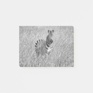 Post-it® Zebra