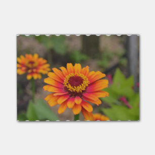 Post-it® Zinnia assez orange