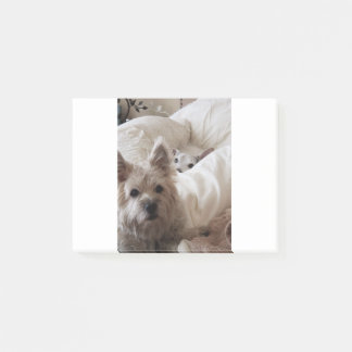 Post-it® Zoé et Yoda