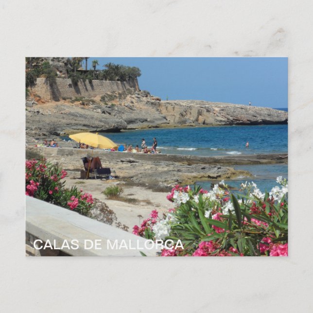 postal de Calas de Mallorca, playa Postcard (Front)