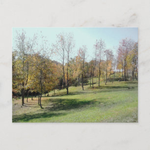 Postale Arbres sur la pente 2004 Carte de poste photo
